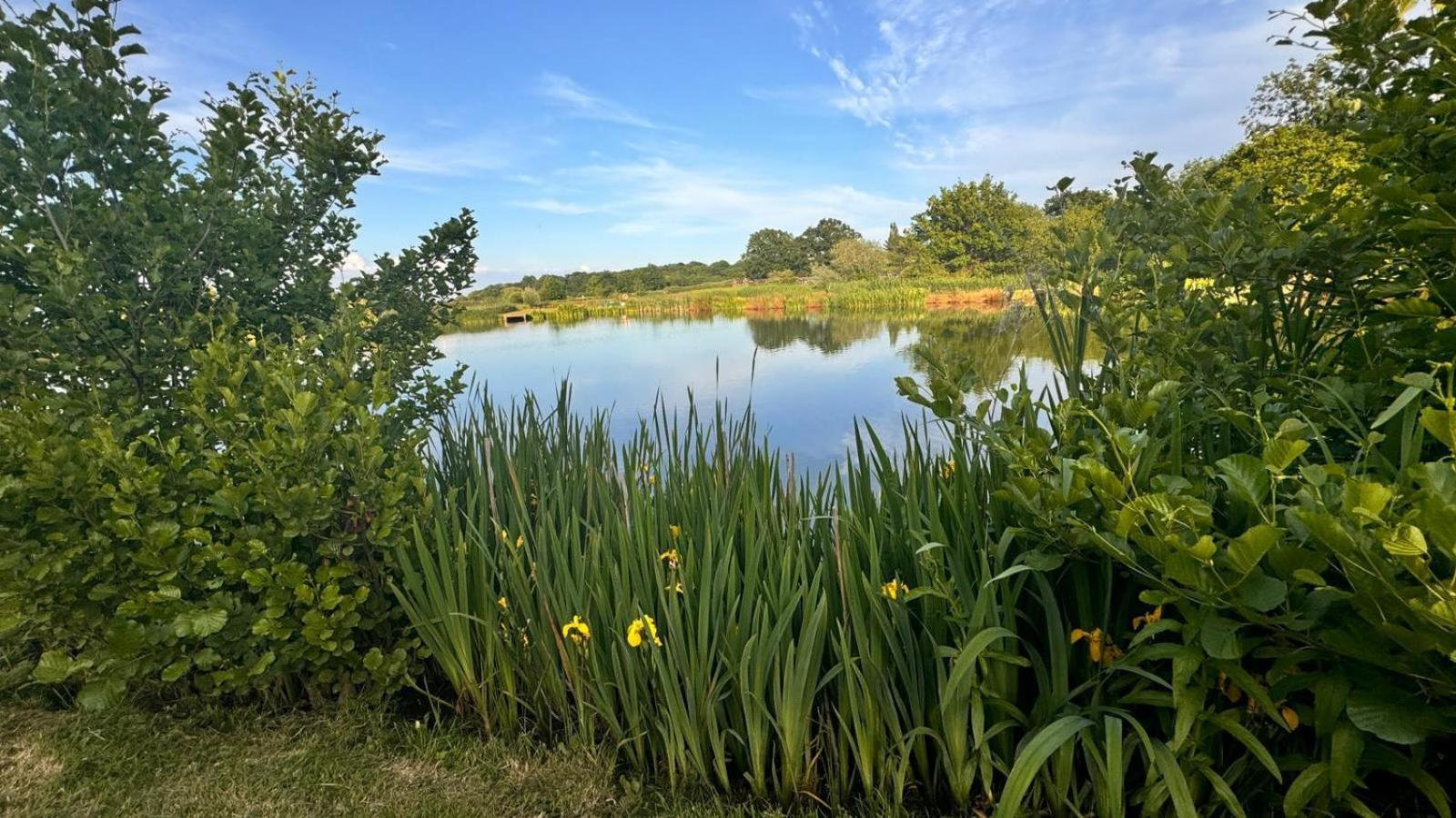 Bransford Farm Fishery & B & B 外观 照片